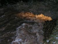 unwettereinsatz 01 2009 01